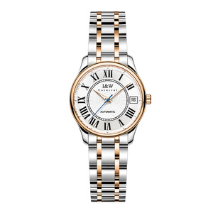 I&W Luxury Mechanical Wristwatch for Women 41mm Automatic Sapphire Mirror