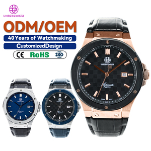 Custom Logo OEM Mens Skeleton Mechanical Steel Wristwatch